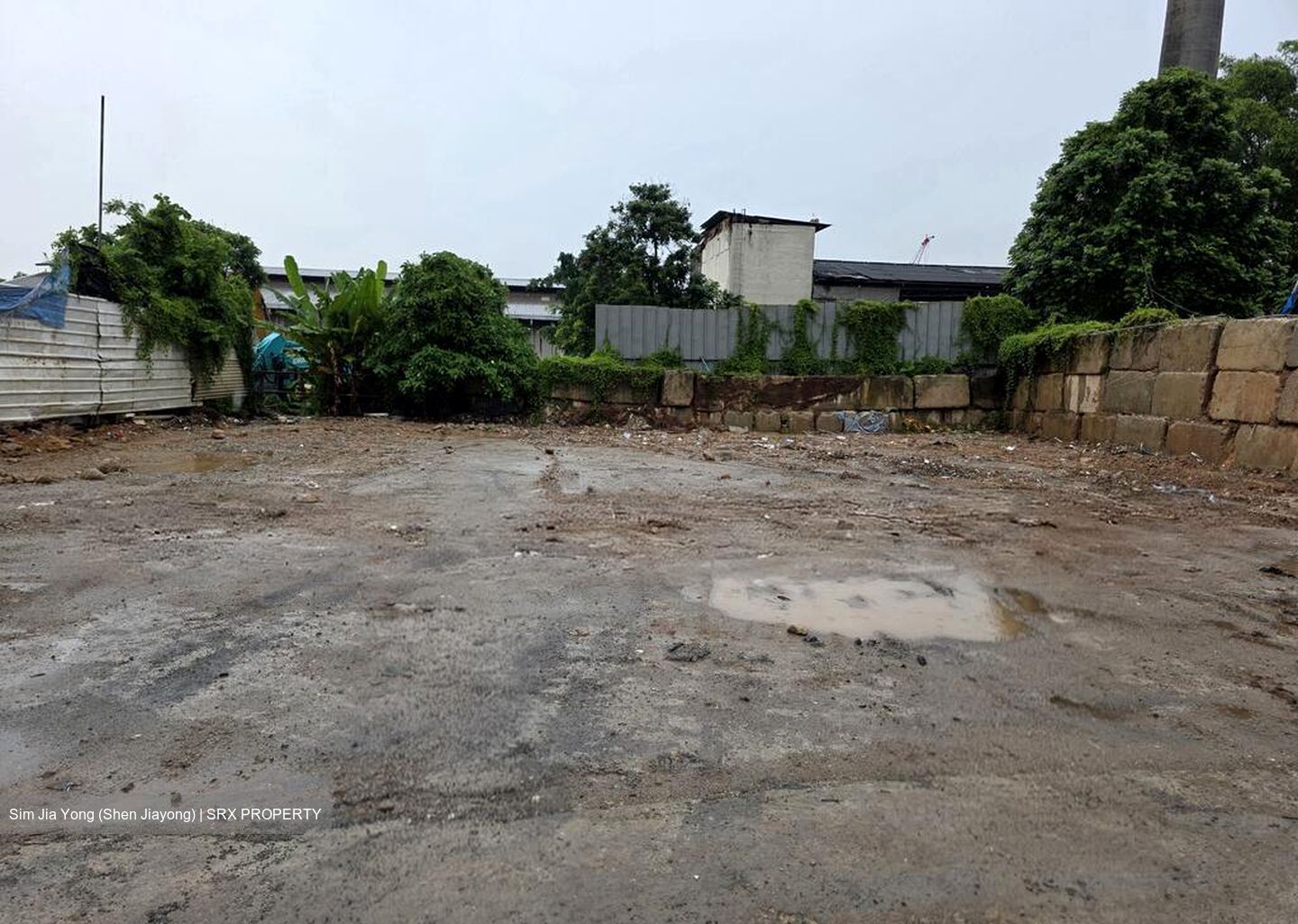 54 TEBAN GARDENS ROAD (D22), Factory #496203691